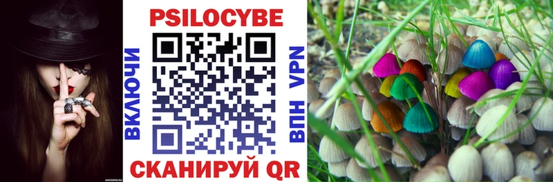 гидра рабочий сайт  цена   Аргун  Псилоцибиновые грибы Psilocybe 