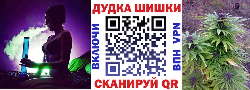 Бошки Шишки гибрид  Аргун 